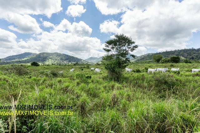 Fazenda Pecuária de 1.260 Hectares - Foto 4