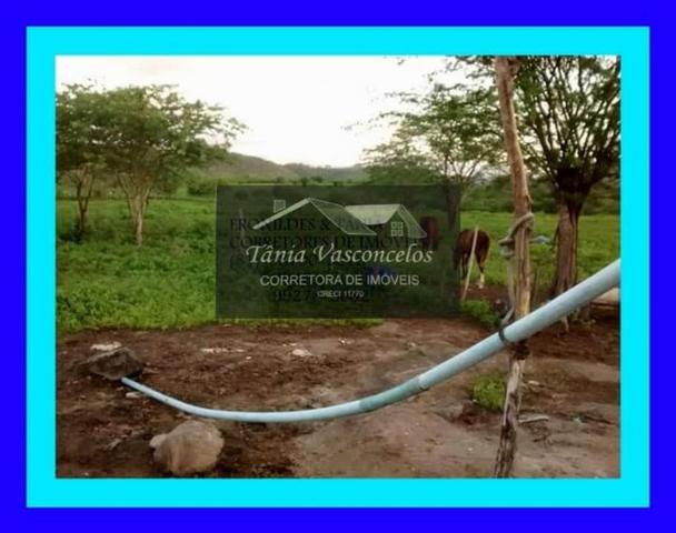 Fazenda Próximo Avencas por 15 mil ,cada Hectares ,Agende já sua Visita ! - Foto 6