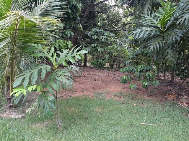 Sitio a venda em Andana-Guarapari ES com 2 - Foto 7