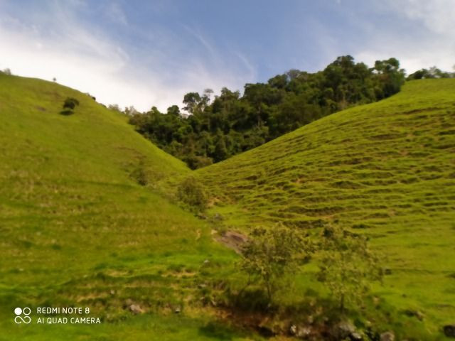 Vendo Fazenda com 27,5 Hectares em Rio Calçado - Guarapari - Foto 9