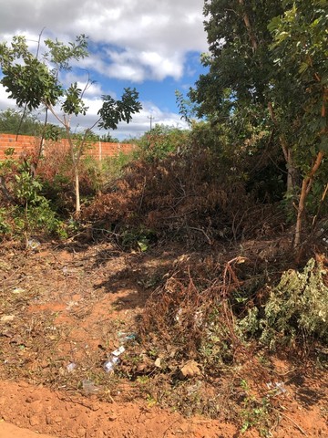 Terreno 12x30 - Foto 2