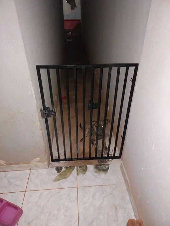 Portãozinho para corredor  - Foto 3