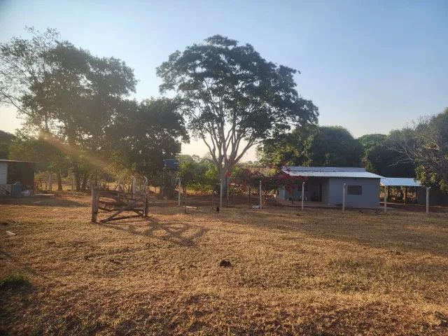 50 hectares a 25 Km de Campo Grande - Foto 15