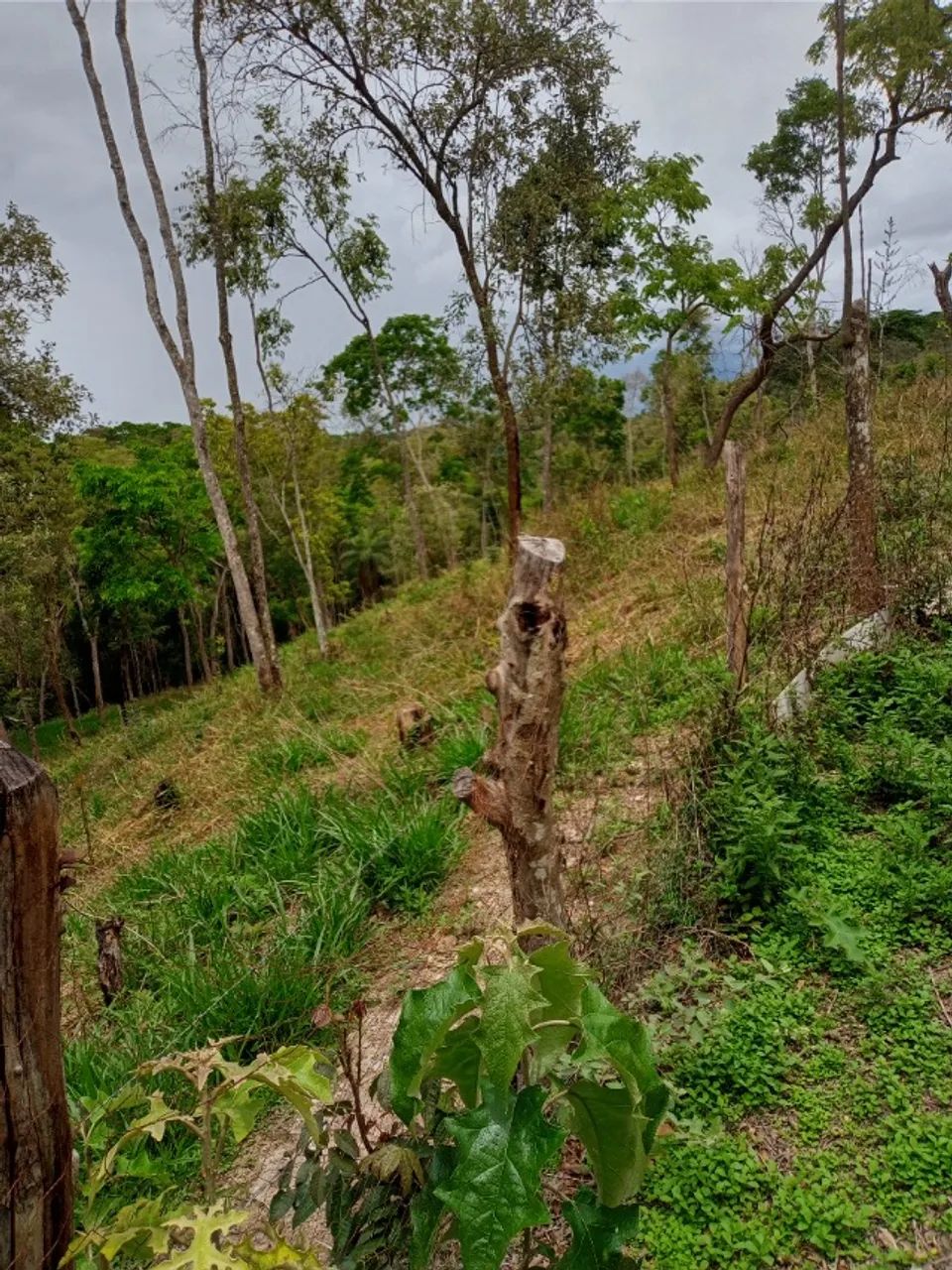 TERRENO EM PIEDADE DOS GERAIS, 25.OOO M2,  REG. CAXAMBU - Foto 2