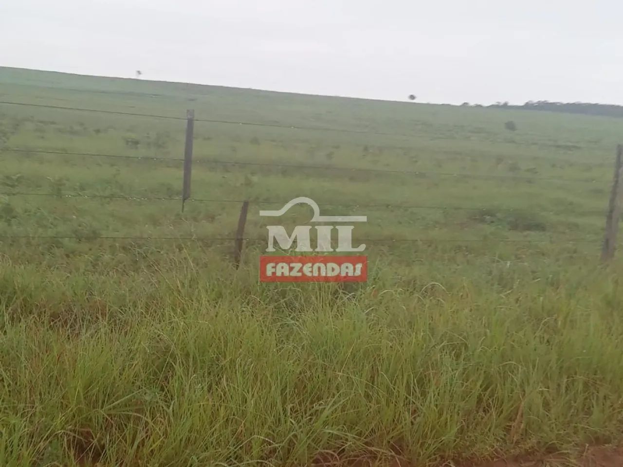 Fazenda em Primavera do Leste-MT. . 930 Alq. (4.501 Há). - Foto 4