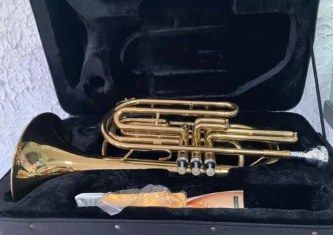 Trombonito BM  - Foto 4