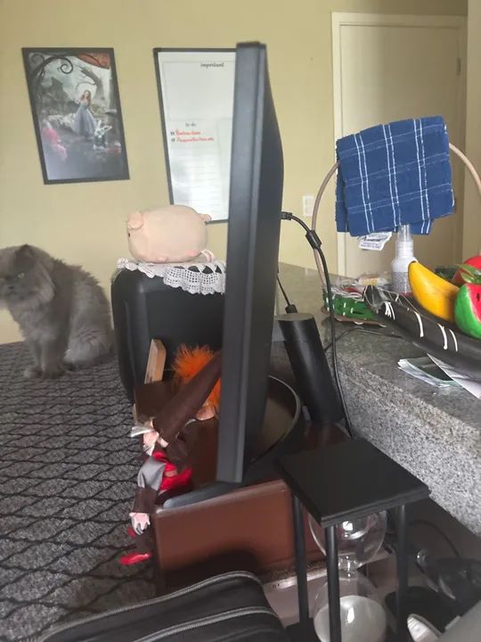 Monitor LG 26 polegadas Full HD - Foto 4