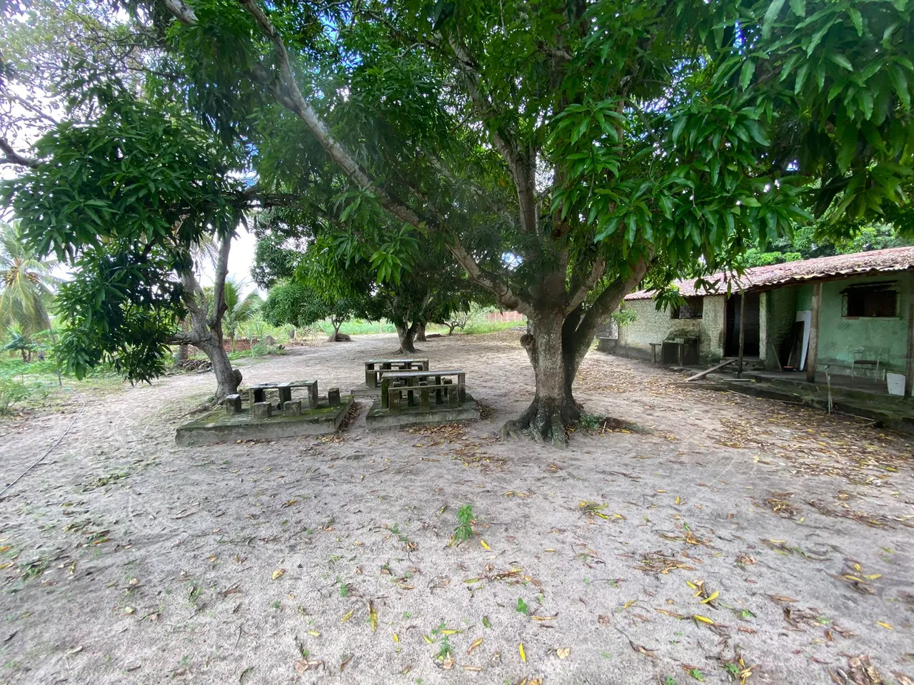 Fazenda/Sítio/Chácara para venda com 7386 m² com 2 quartos