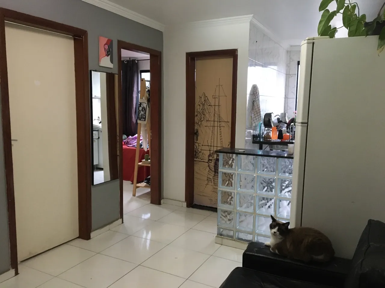 Dividir apartamento, guara II