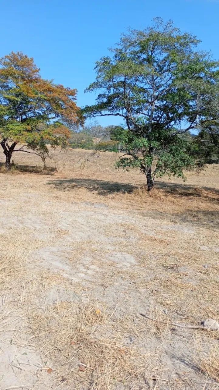 Terreno módulo rural 