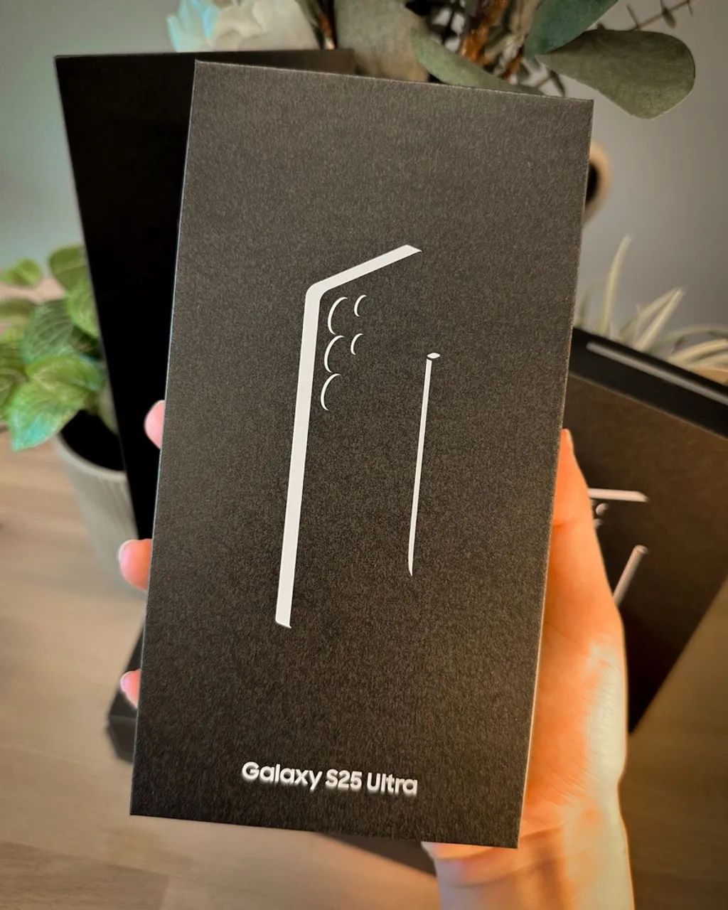 Samsung Galaxy S25 Ultra Lacrado