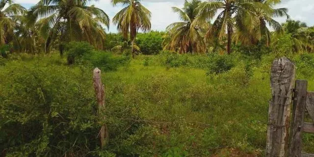 Granja com 2.6 hectares em Ceará Mirim