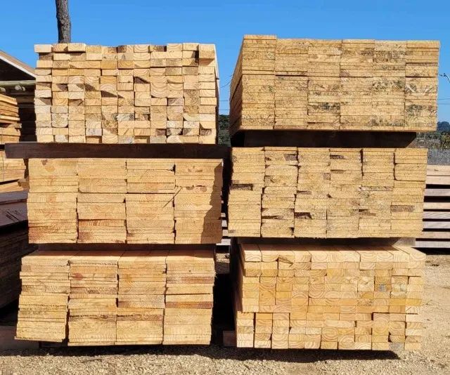 Pinus melhor preço - Foto 2