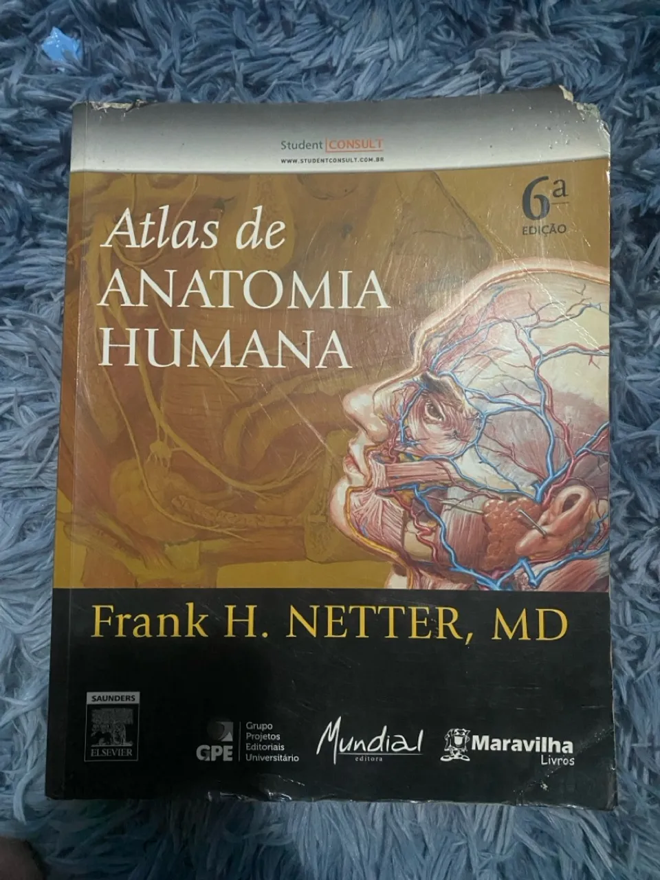Atlas de Anatomia Humana - Frank H. Netter