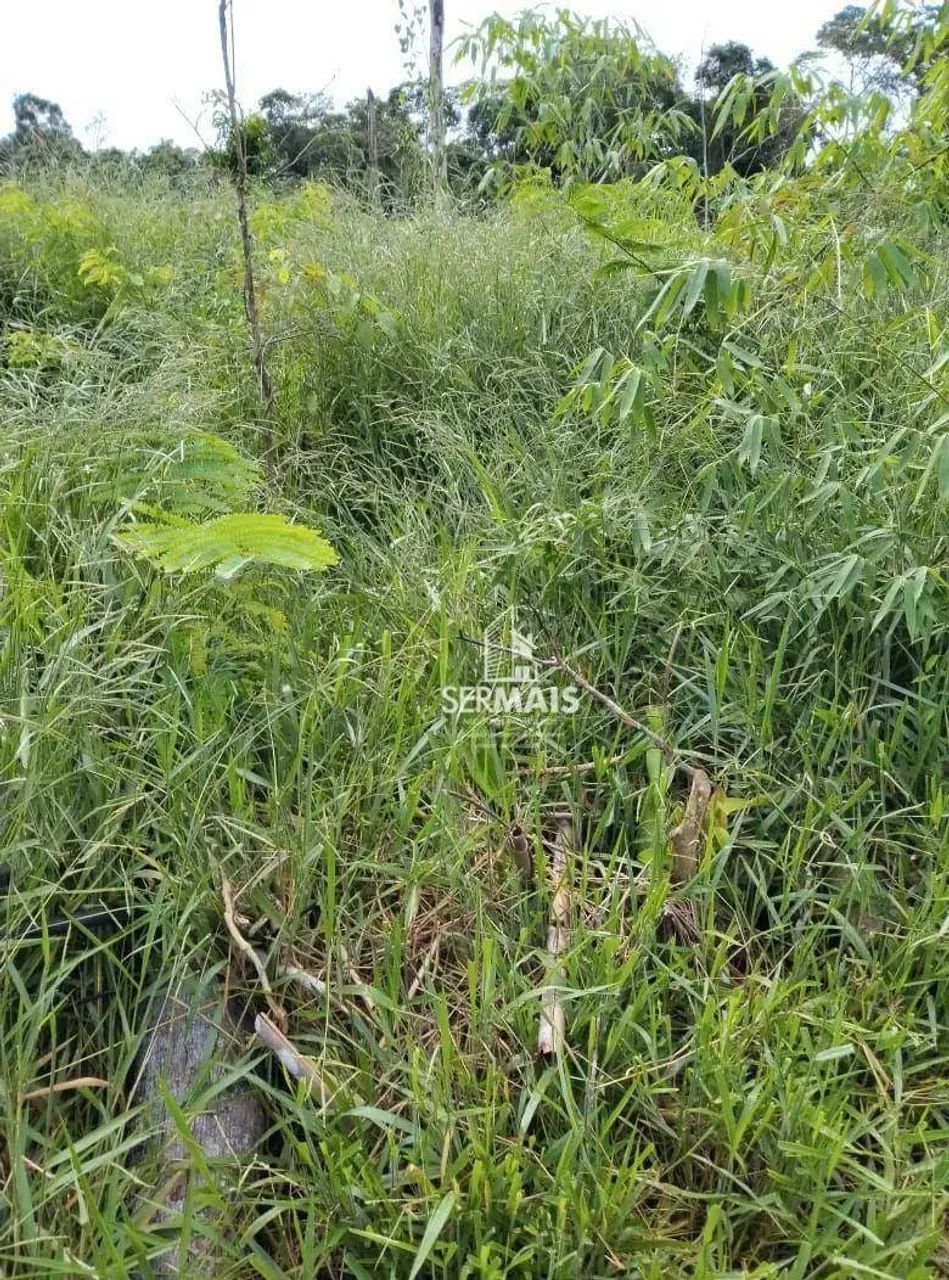 Fazenda Situada no município de Bujari Acre. R$400.000,00 - Foto 5