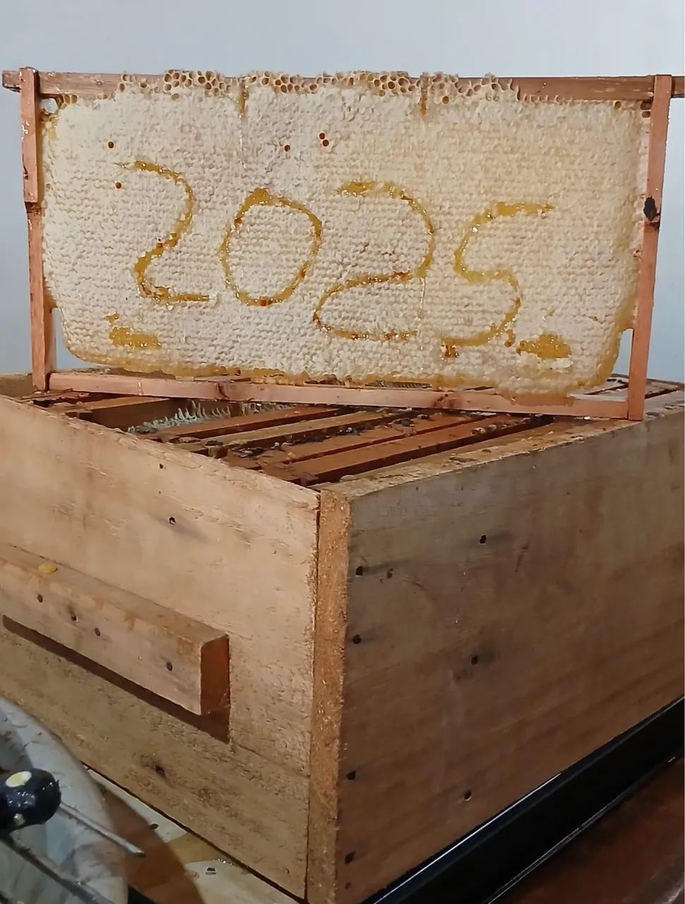 Mel e favos puríssimo de abelha Europa  - Foto 3