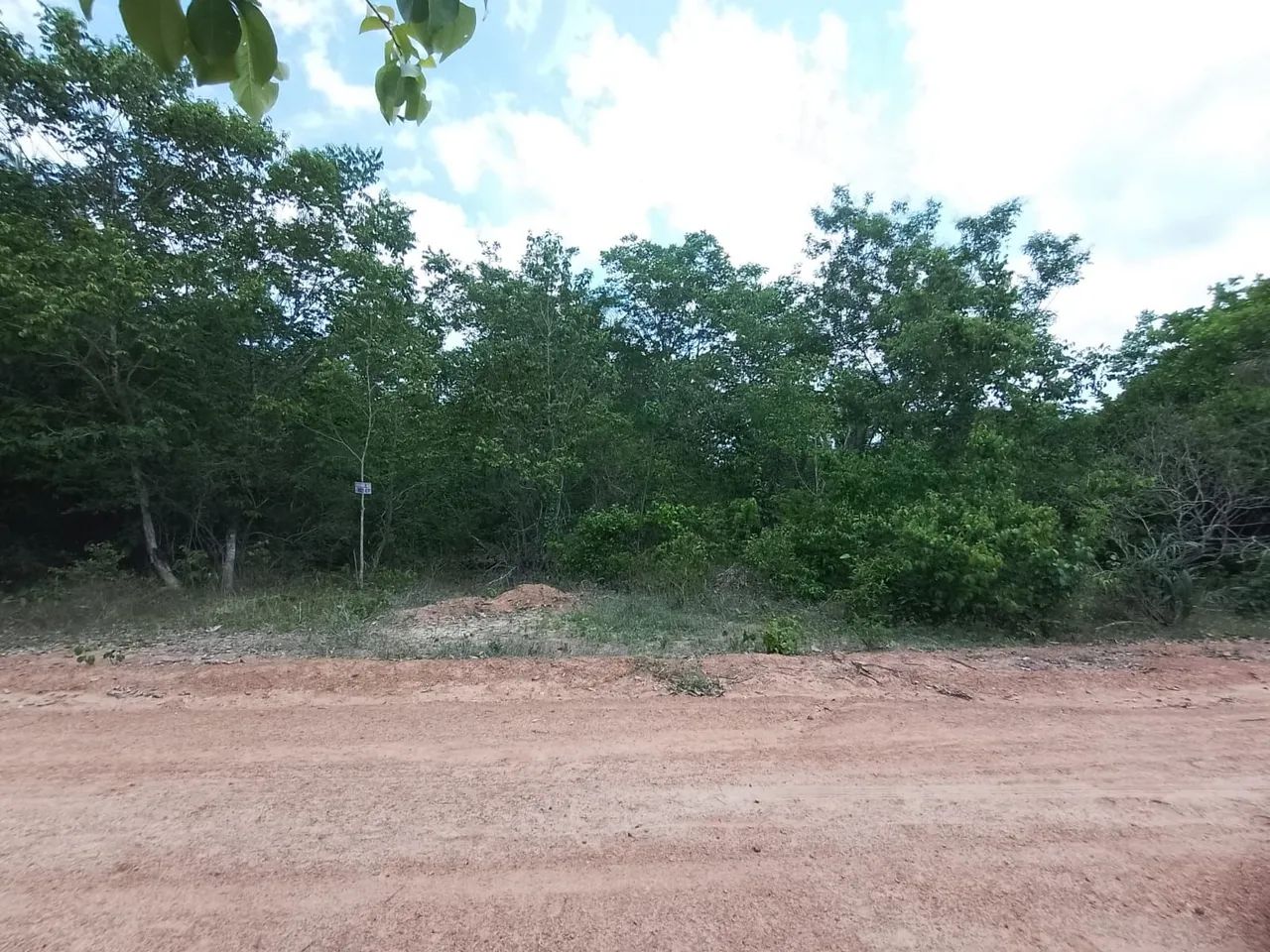 Venda de Terreno 