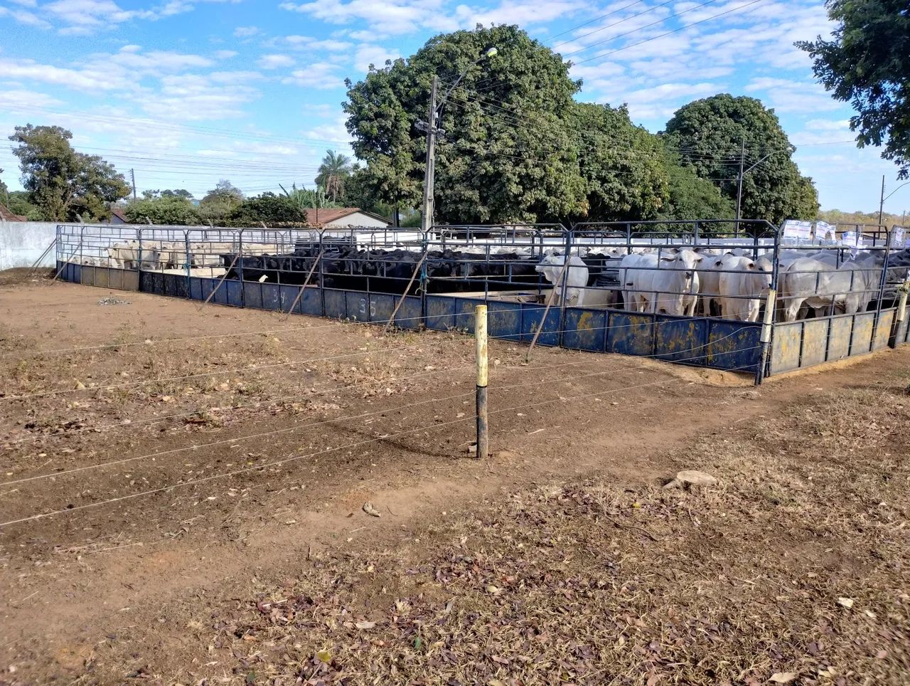 Arena de rodeio, estrutura, grade , curral de ferro  - Foto 3