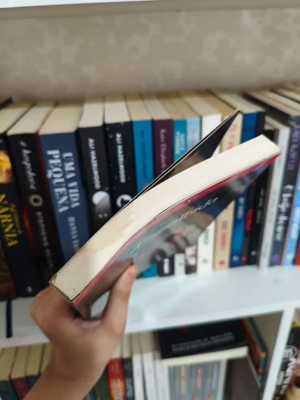 Escolhida - Foto 4