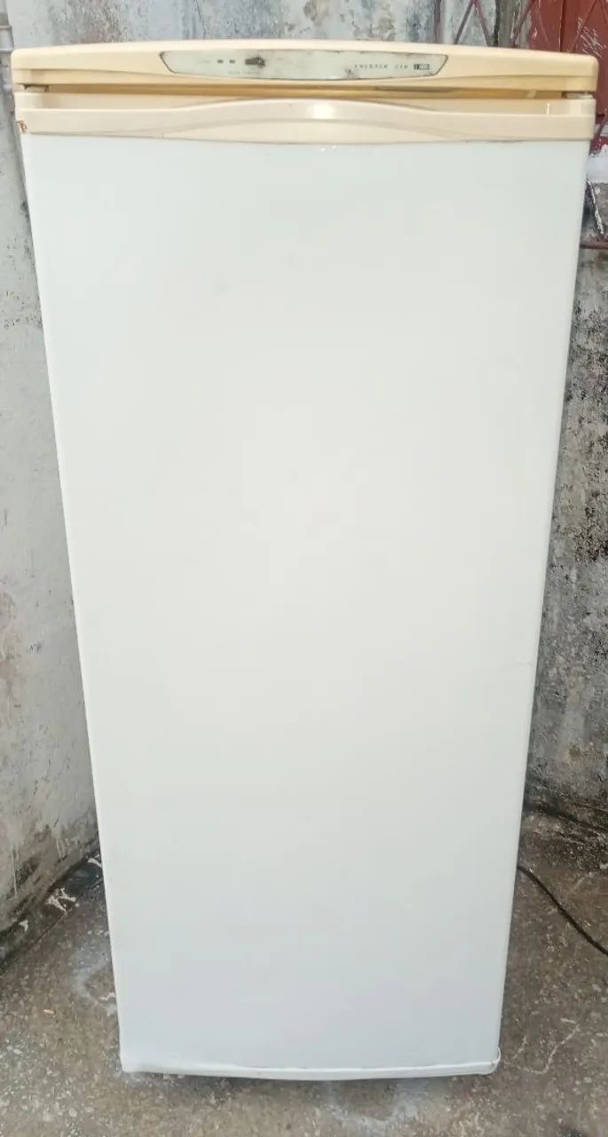 Freezer vertical 250L