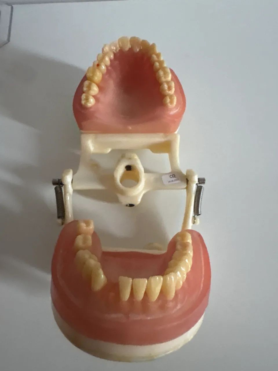 Manequim odontológico  - Foto 3