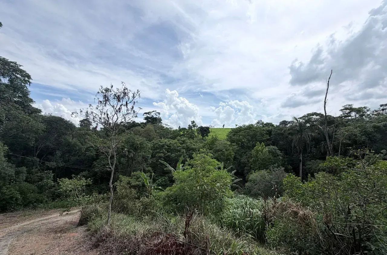 Imóvel para venda possui 65000 metros quadrados em Área Rural de Pinhalzinho - Pinhalzinho - Foto 4
