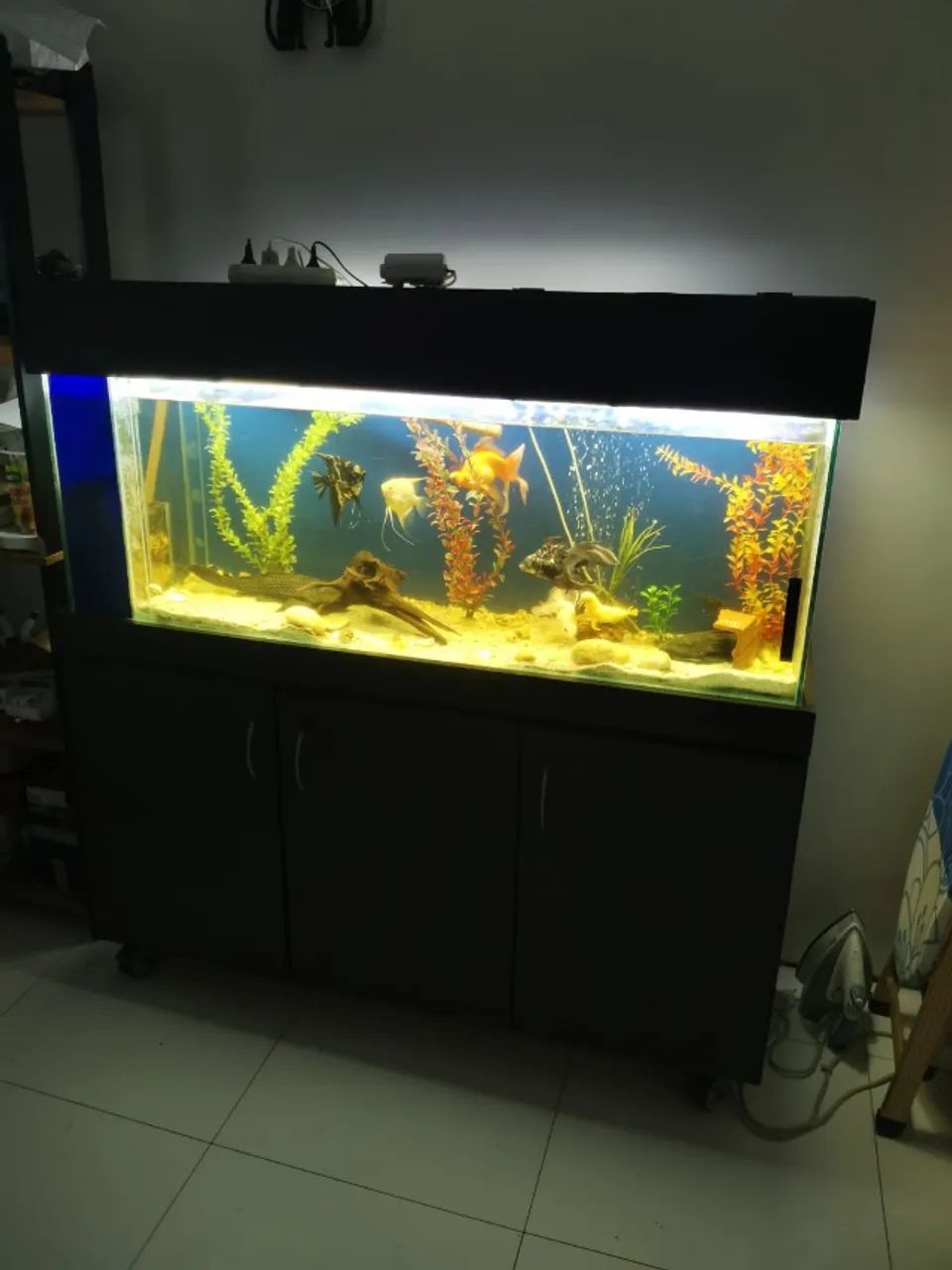conjunto de aquário - Foto 3