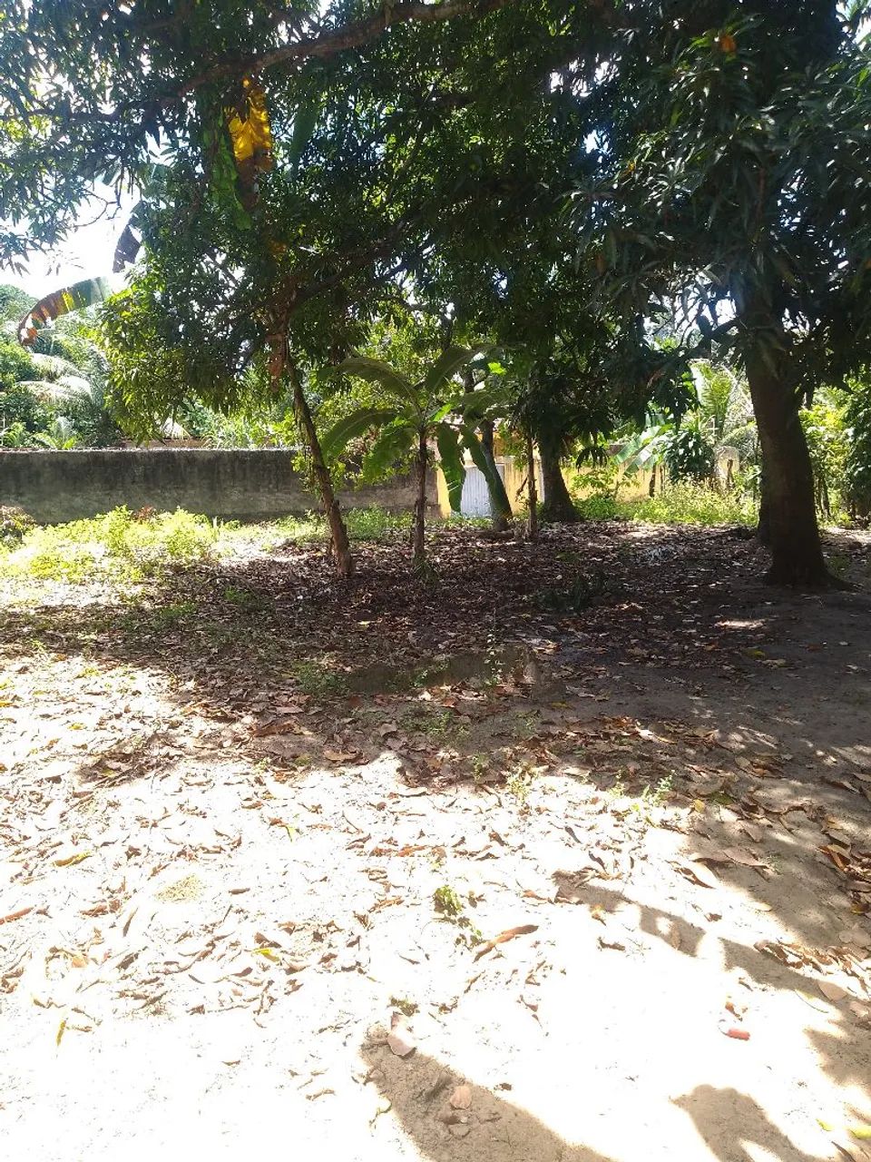 Vende-se  sítio em livramento - Foto 3