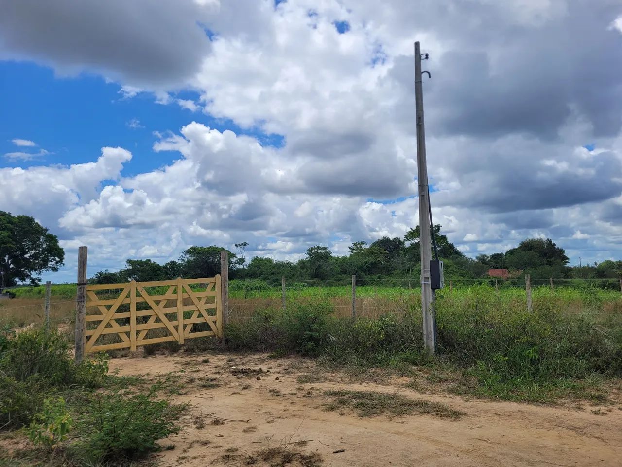 Fazenda em Conceição do jacuipe - Foto 5