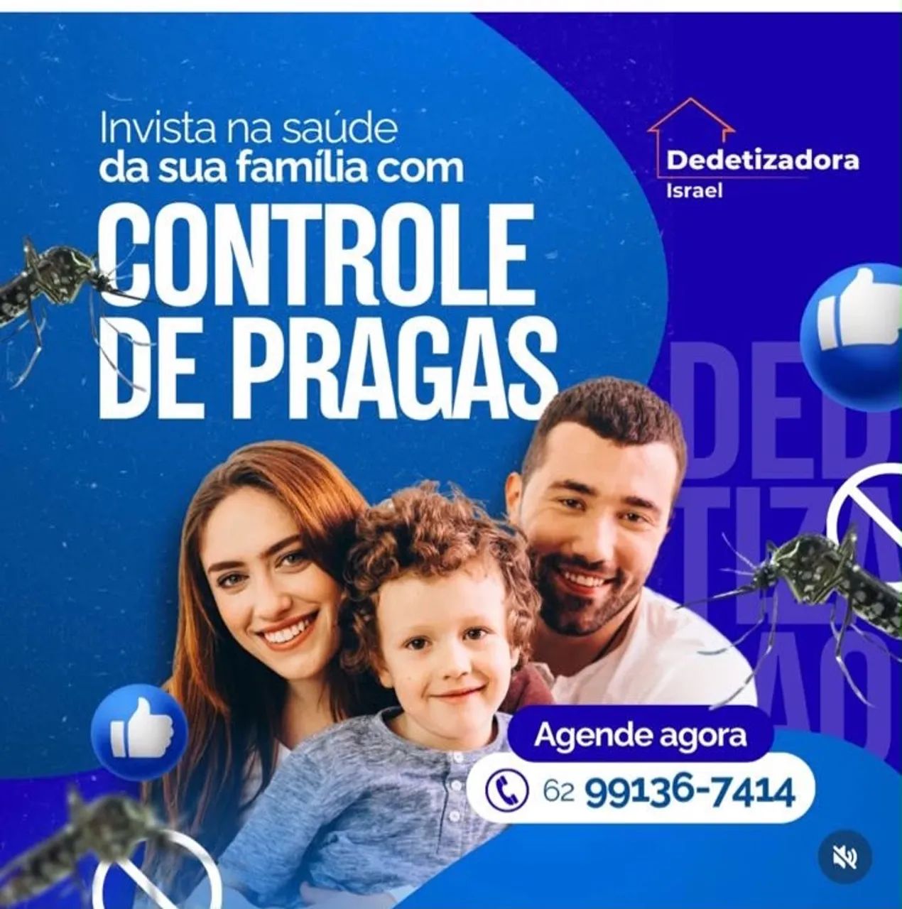 Dedetização 