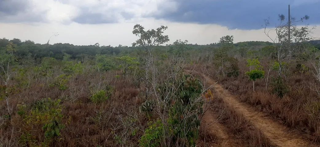 Terreno Torrão do Matapi  - Foto 4