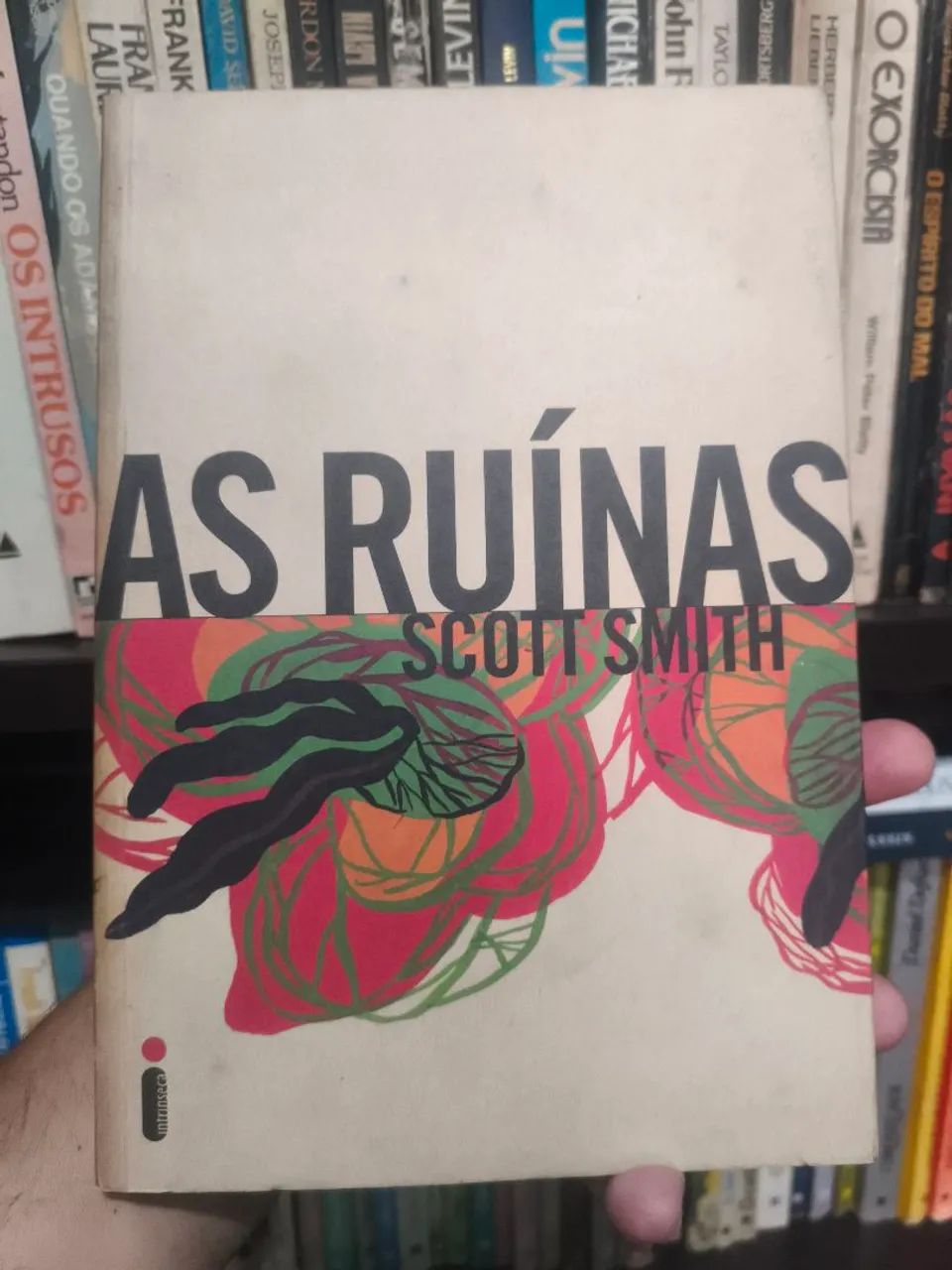 LIVRO AS RUÍNAS - SCOTT SMITH 