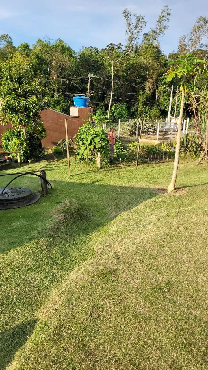 Jardinagem - Foto 5