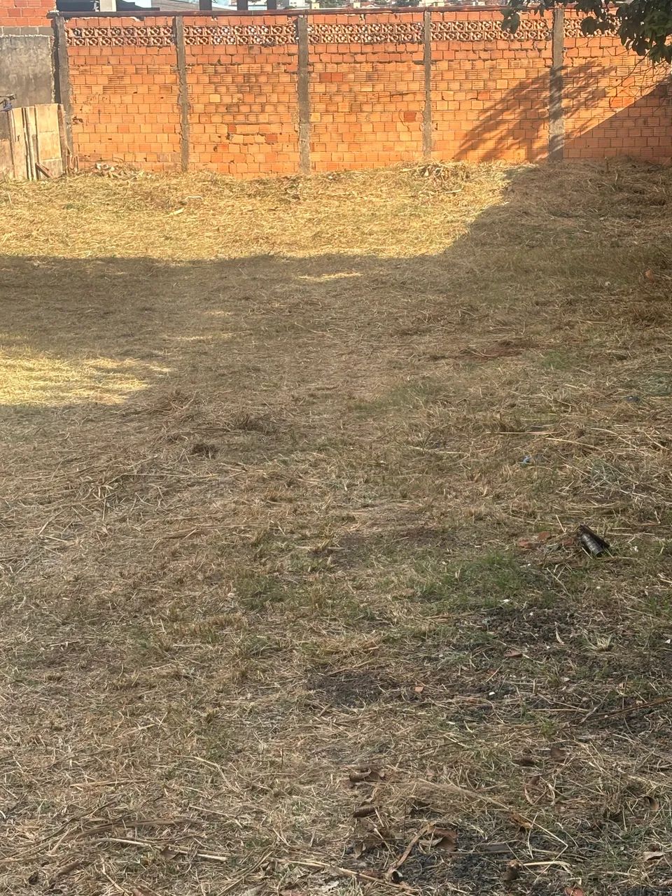 Terreno - Foto 4
