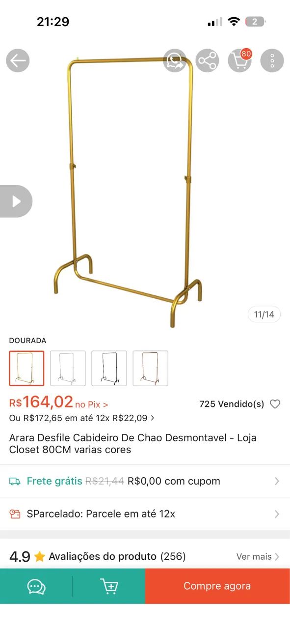 Arara dourada - Foto 4