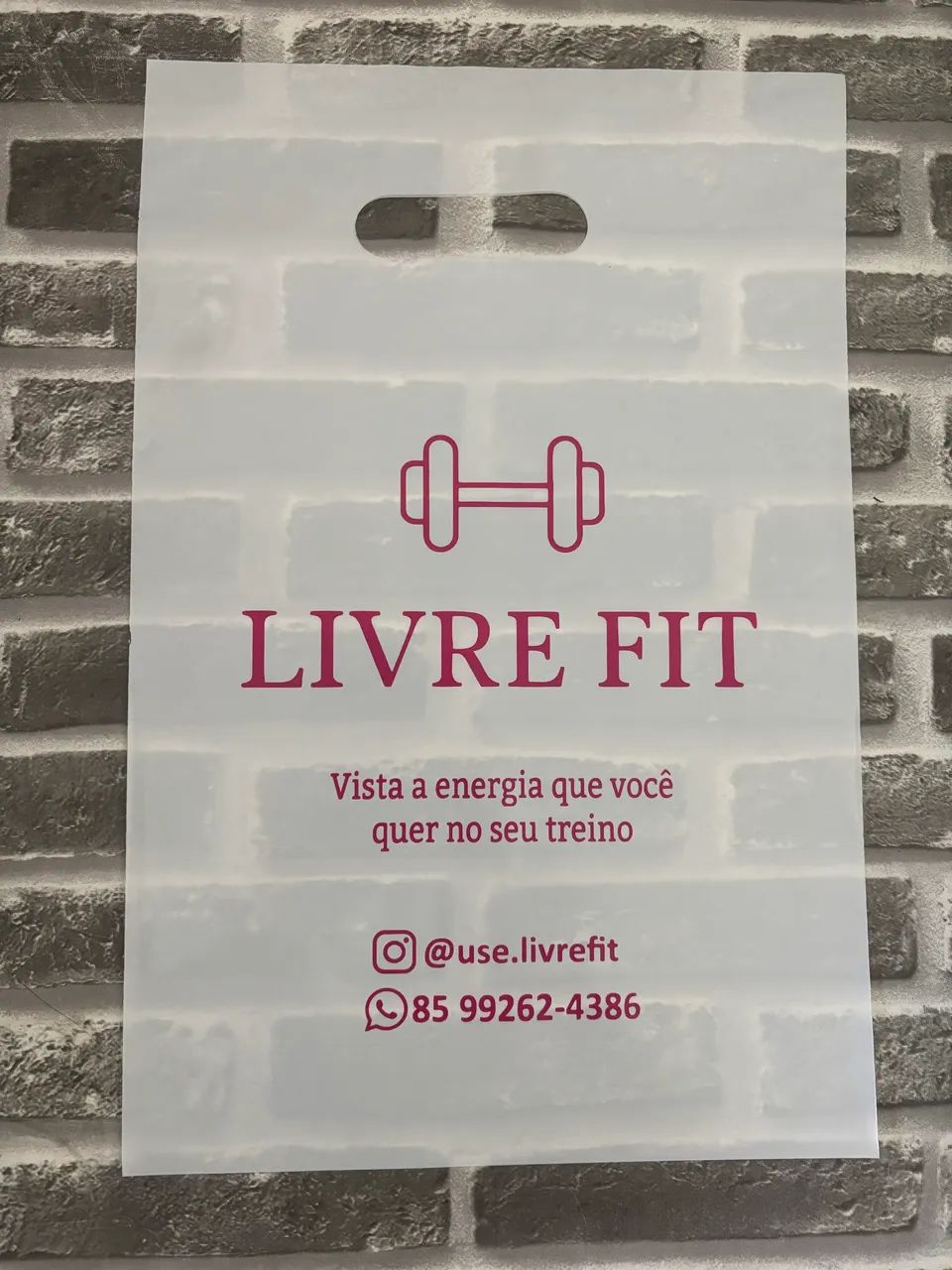 Sacolas lisas e personalizadas 