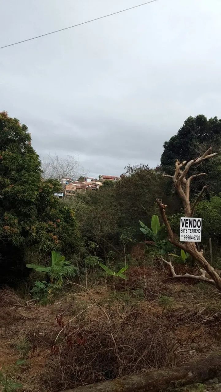 Vende-se Lote 