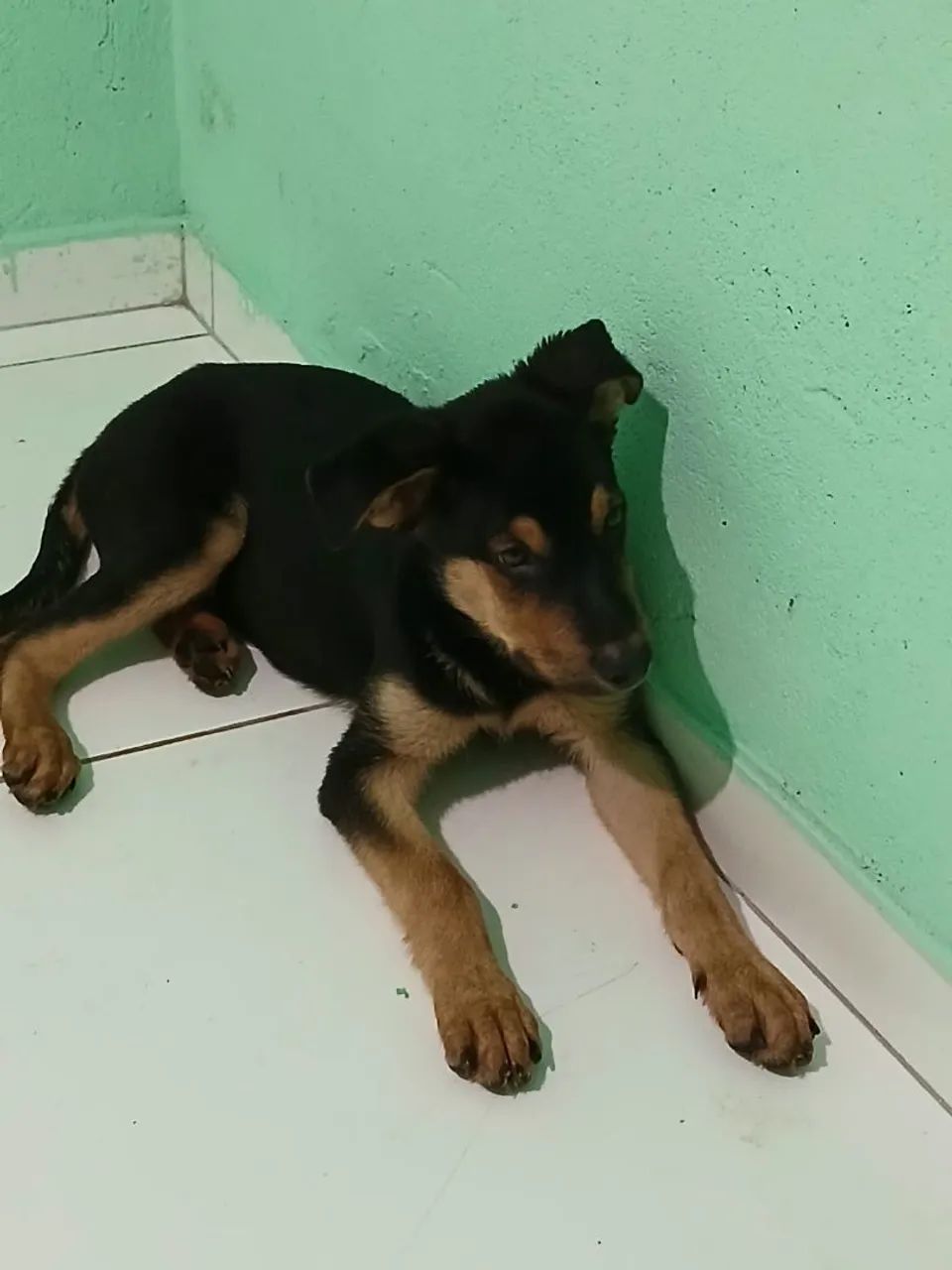 Vende-se 