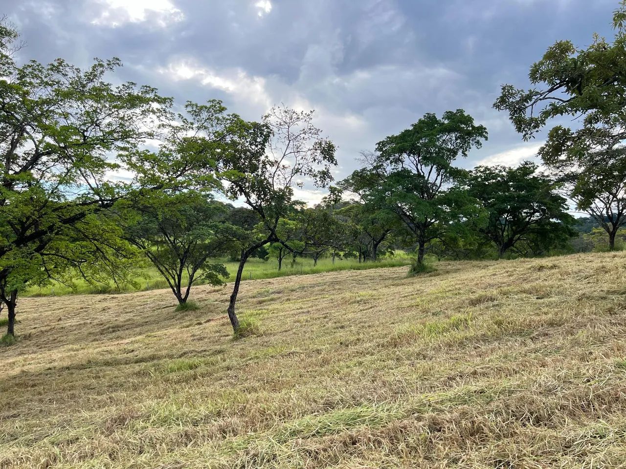 Fazenfinhas rurais em Pará de Minas  - Foto 5