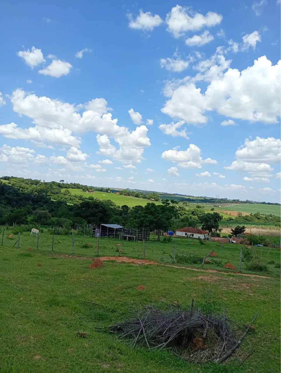 Chácara  - Foto 4