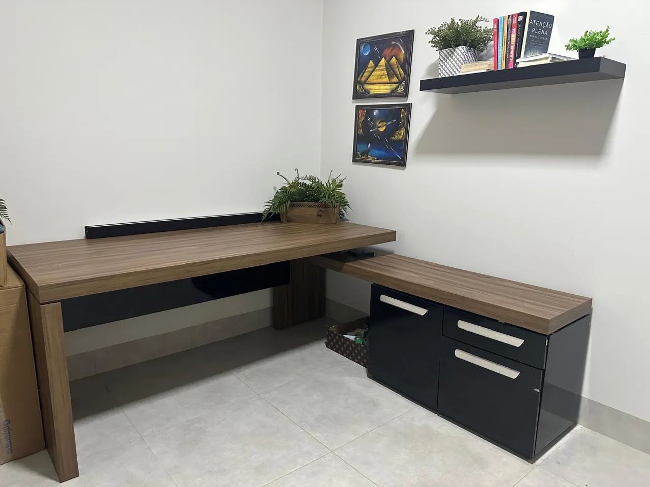 Mesa Diretor