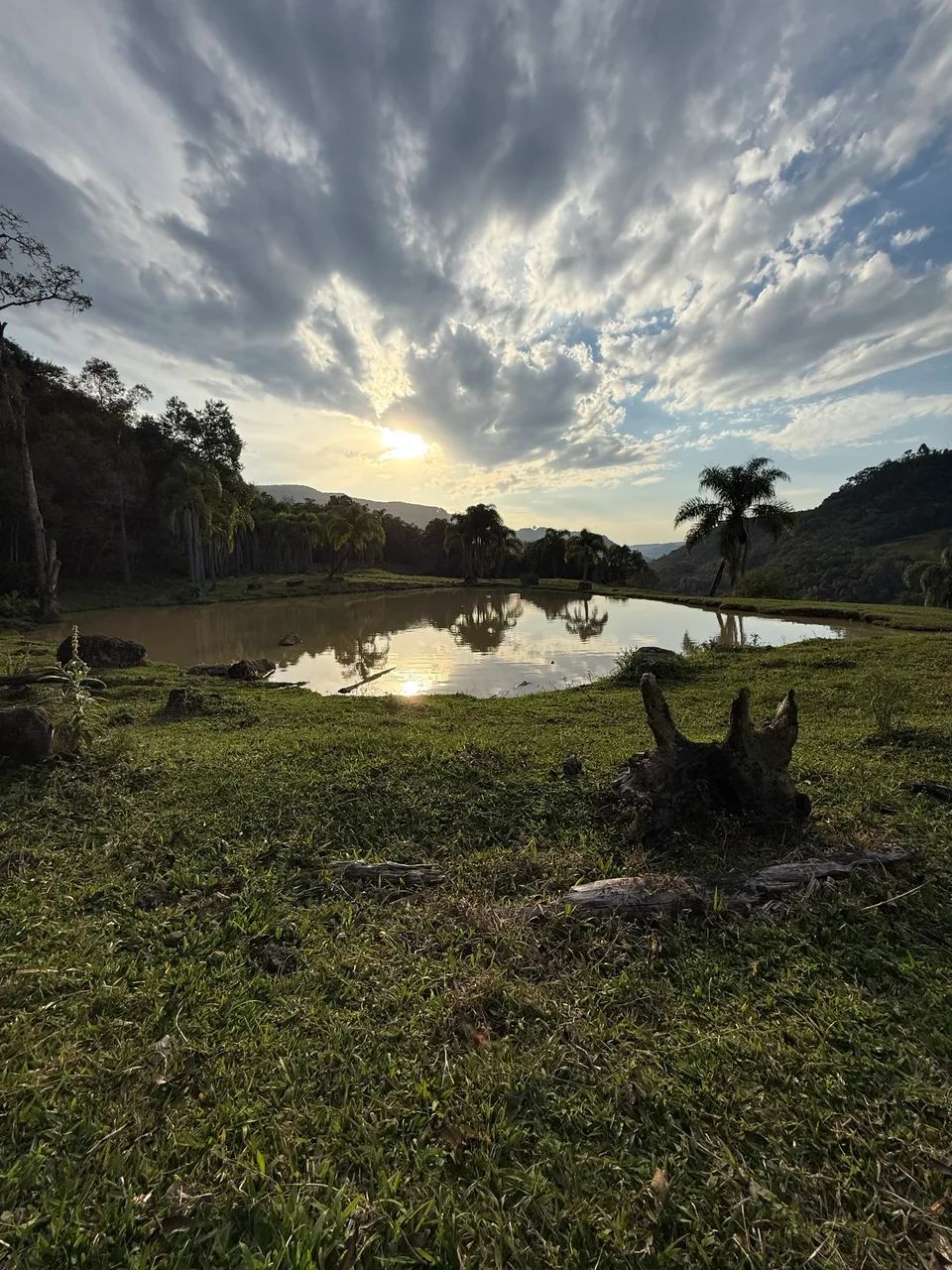 Sítio com dois lagos, nascentes e cachoeira. 5.9 hectares  - Foto 2