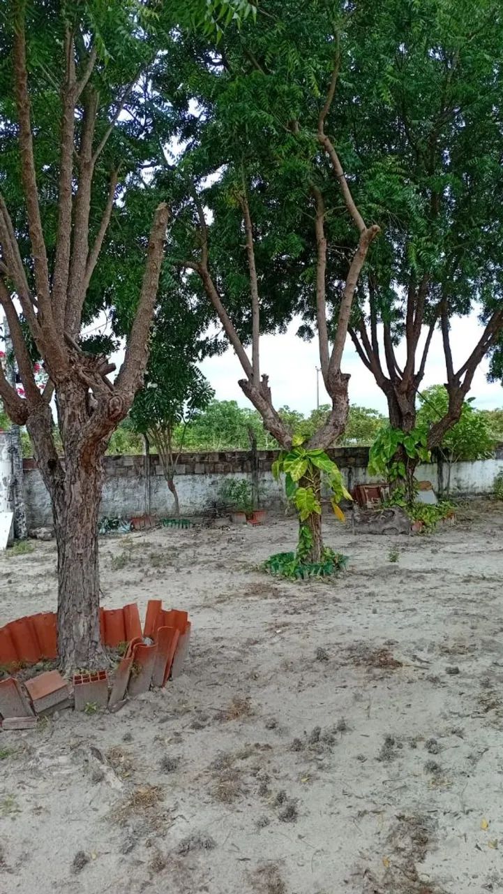 Vendo propriedade com 35 hectares  - Foto 5