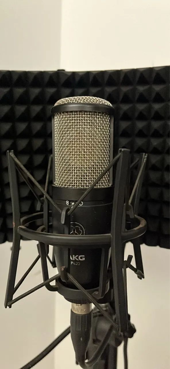 Akg p420 
