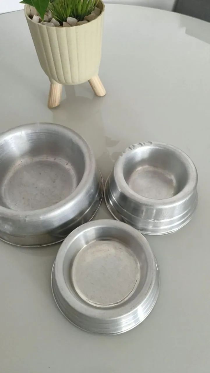 Bebedouro de cachorro 