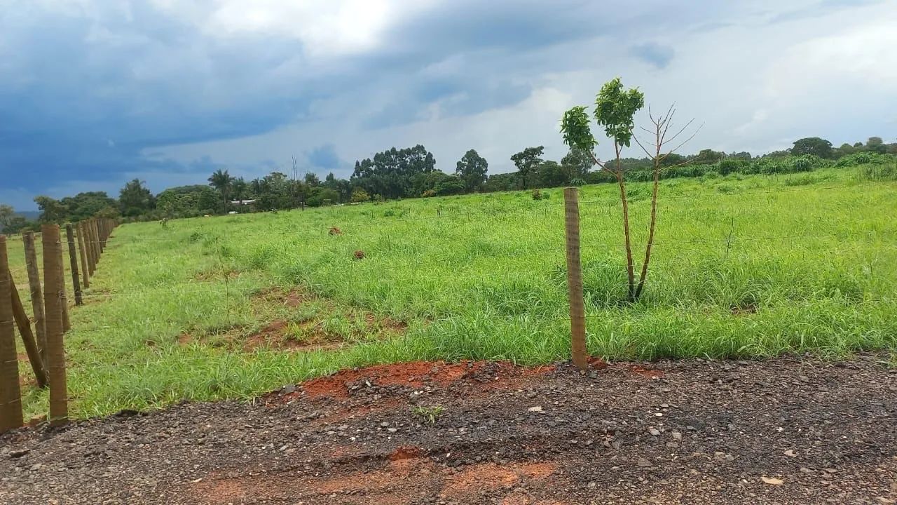 TERRENO! ÁREA! CHÁCARA! LOTE!  - Foto 5