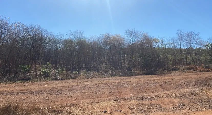 Terreno excelente para uma chácara, com casas vizinhas  - Foto 3