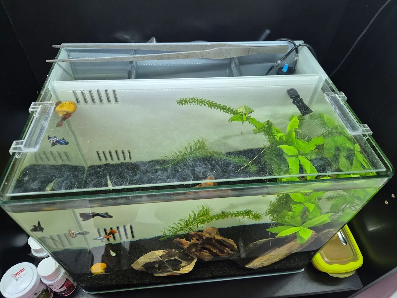 Aquário oceano tech com sump  - Foto 2