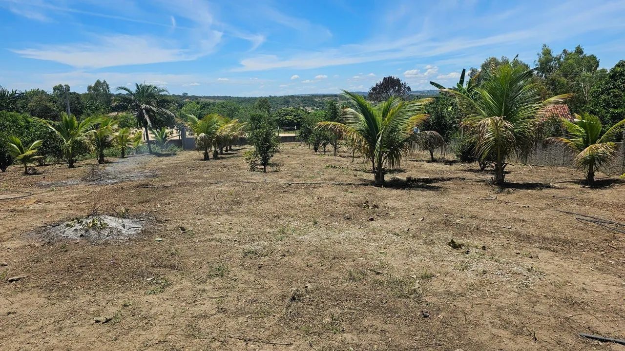 Chácara  - Foto 3