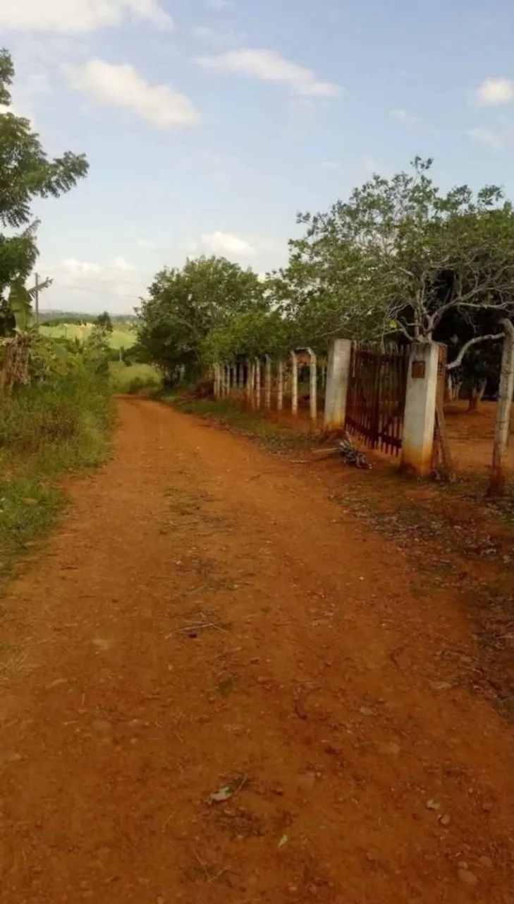 Sitio em aliança  - Foto 4